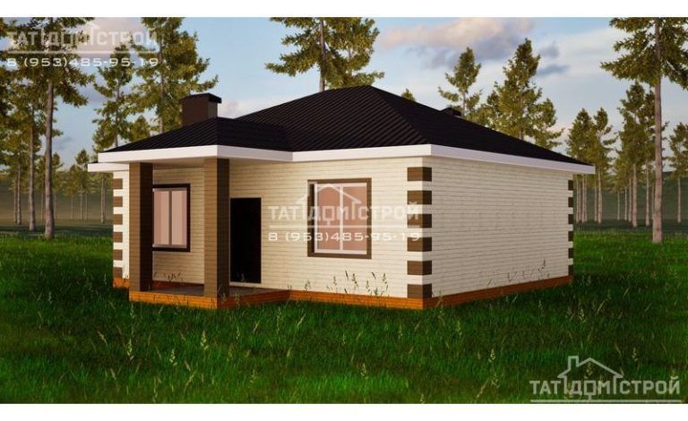 Кирпичный дом 70м² (Чернышевка)